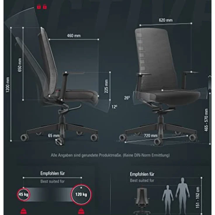 Interstuhl Bürostuhl Pure Active Edition, ergonomische Smart-Spring Technologie zur Anpassung an Gewicht und Bewegung, Schwarz | Anthrazit – Bild 3