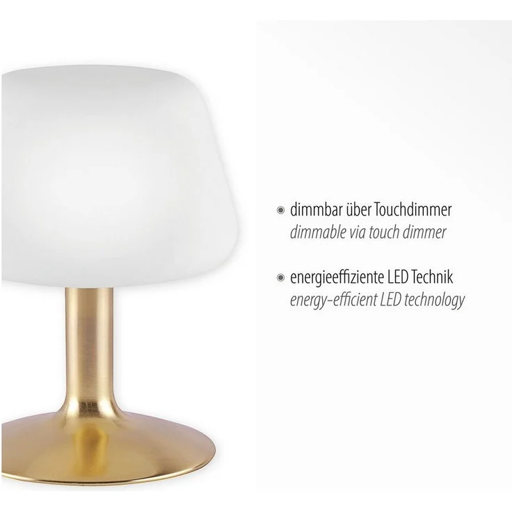 TILL Paul Neuhaus Tischleuchte, messing matt 1xG9 3W 3000K Innenleuchte, IP20 13619 – Bild 3