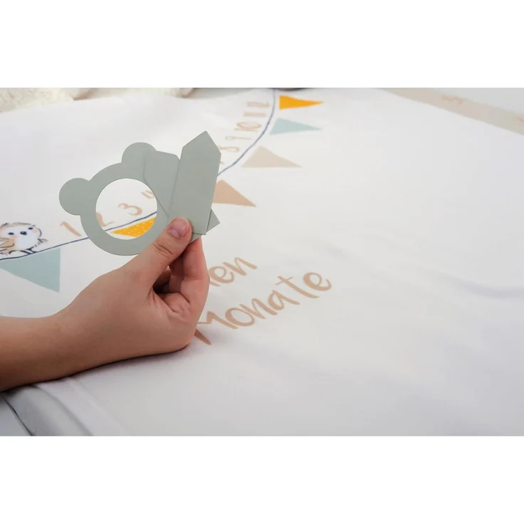 Herding babybest Soft-Peachdecke Waldfreunde Meilensteindecke/Monatsdecke/Fotodecke, Inkl. Zubehör, 75x100 cm, Polyester – Bild 3