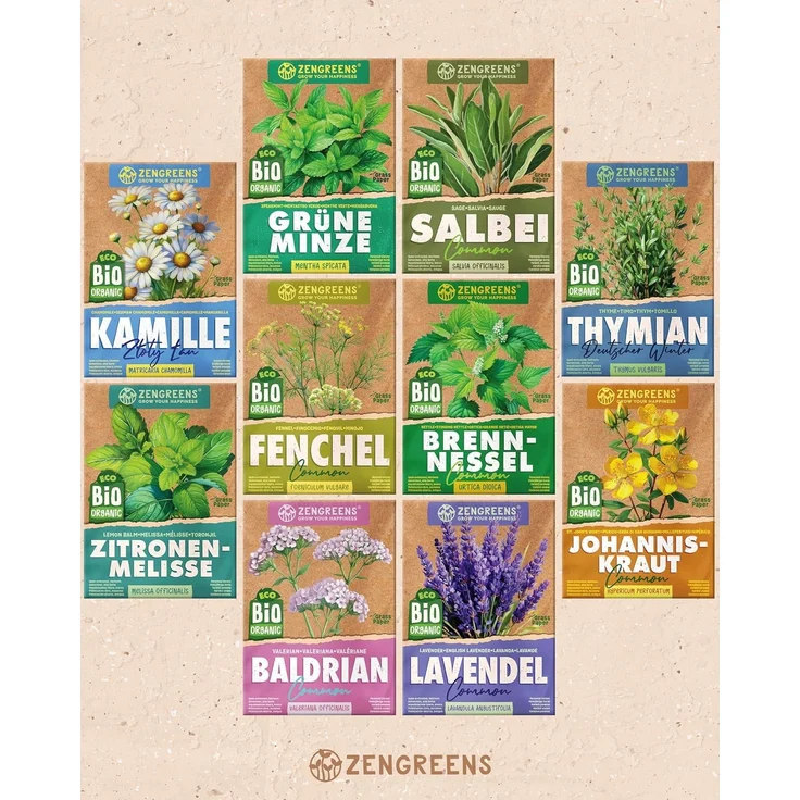 ZenGreens® - Bio Heil- und Teekräutersamen im 10er Set - 10 Heil- und Tee Kräuter Samen für den einfachen Anbau im Garten, Balkon oder Hochbeet - Pflanzensamen - Saatgut – Bild 7