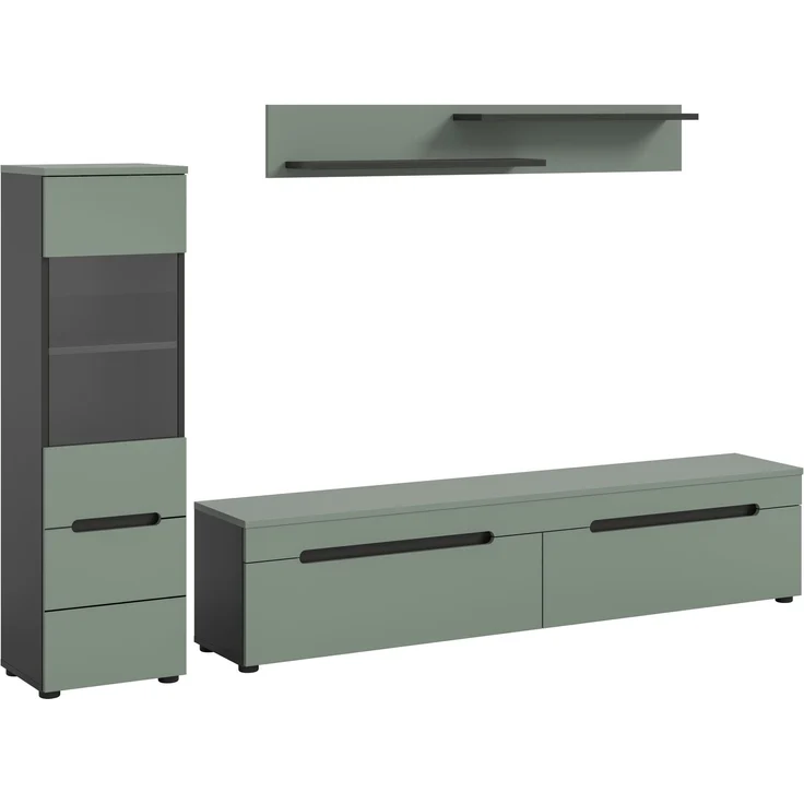 Wohnkombination (B/H/T: 221x141x33 cm) in Smoke Green Nachbildung – Bild 1