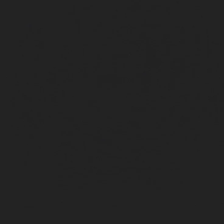 vidaXL Klappstuhl 2 Stück Schwarz und Grau 48 x 43,5 x 81 cm 42029043 – Bild 12