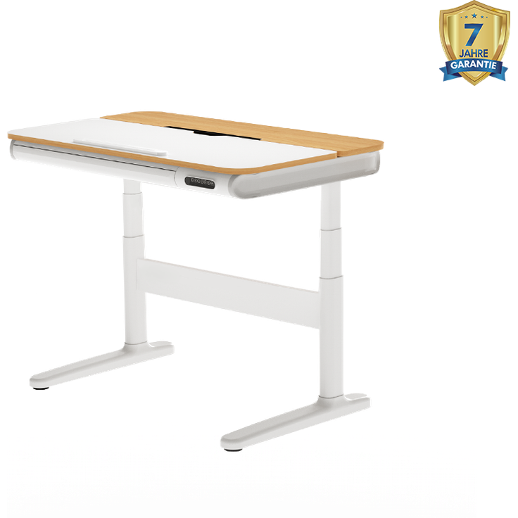 FlexiSpot SD8 Kinderschreibtisch elektrisch höhenverstellbar – ergonomisch, kindgerecht & ideal zum Lernen und Spielen