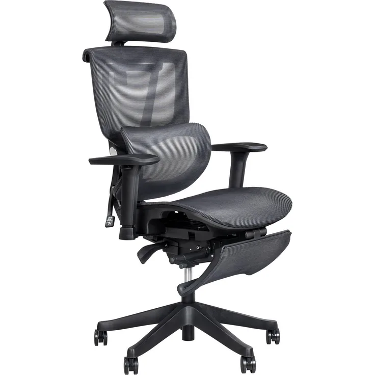 FLEXISPOT Bürostuhl Premium Ergonomischer C7, Ergonomischer Chef-Mesh-Bürostuhl, Computer-Bürostuhl