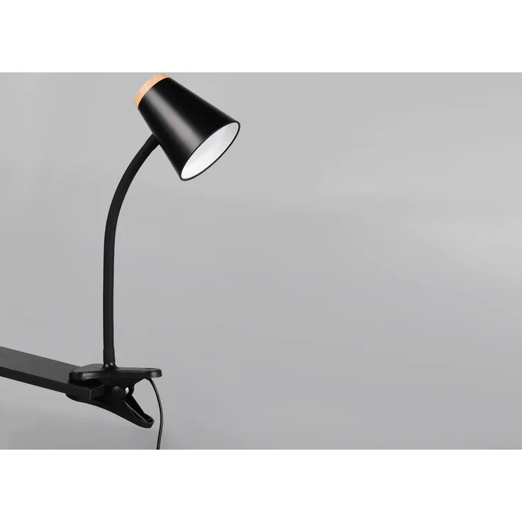TRIO Klemmleuchte LED R25831102