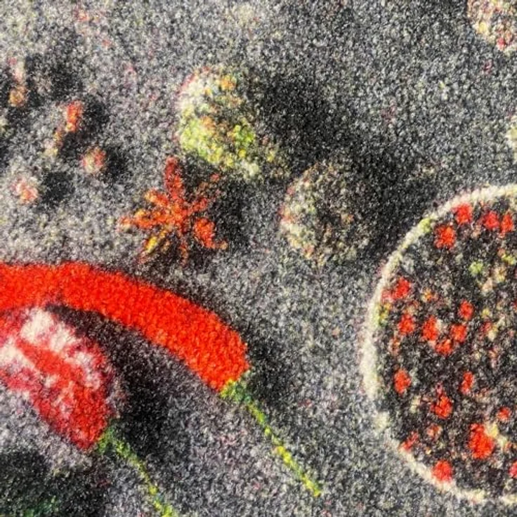 Teppich-Traum Küchenläufer mit rutschfestem Gelrücken waschbar mit Kochlöffeln und bunten Gewürzen, 80x200 cm – Bild 5