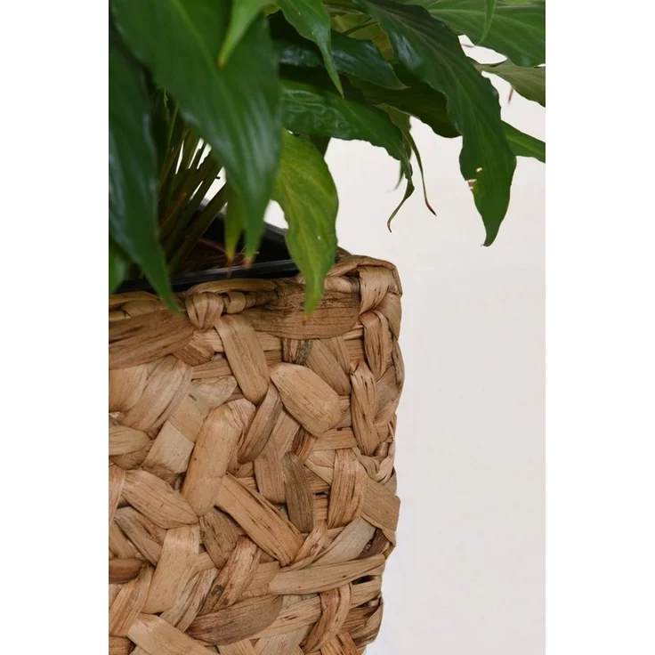 VIVANNO Pflanzkübel Wasserhyazinthe WILD Würfel, Natur Geflochten 25x25x30 cm – Bild 3