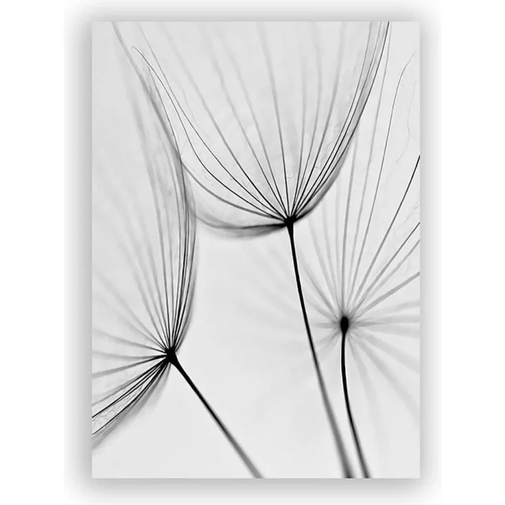Poster Set 3teilig Blume Löwenzahn Schwarz Weiß Wanddeko B 40x60cm – Bild 4