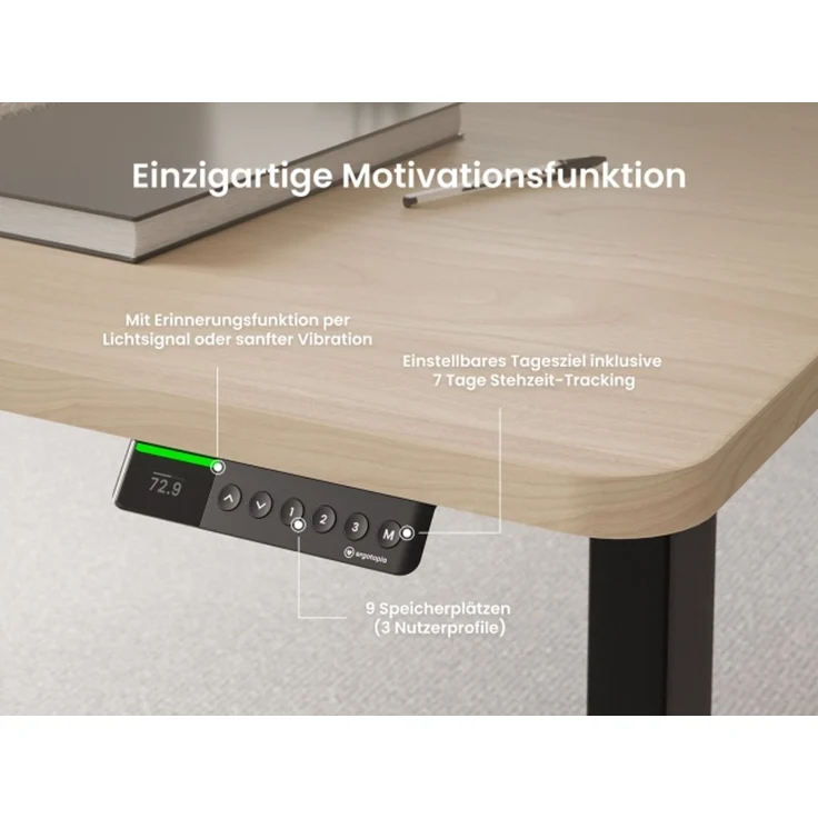 Desktopia Pro X - Elektrisch höhenverstellbarer Schreibtisch / Ergonomischer Tisch mit Memory-Funktion, Ahorn, Gestell Grau, 160x80 cm – Bild 2