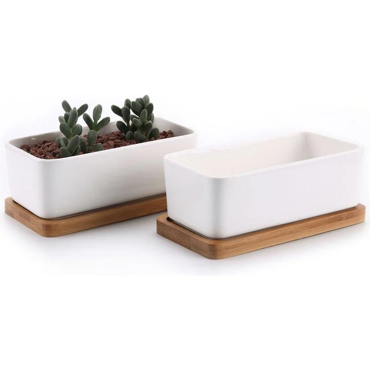 T4U 16.5CM Keramik Sukkulenten Töpfe Kaktus Pflanze Blumentöpfe Weiß 2er Set – Bild 1