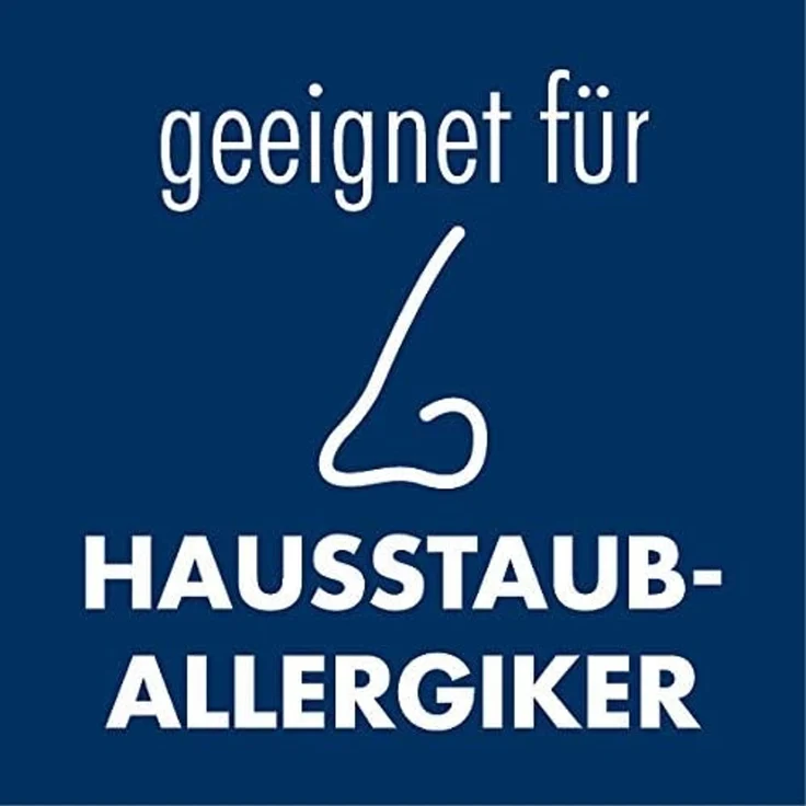 Irisette Badenia Bettcomfort Triberg Steppbett Leicht Sommerdecke, 200x200 cm – Bild 6