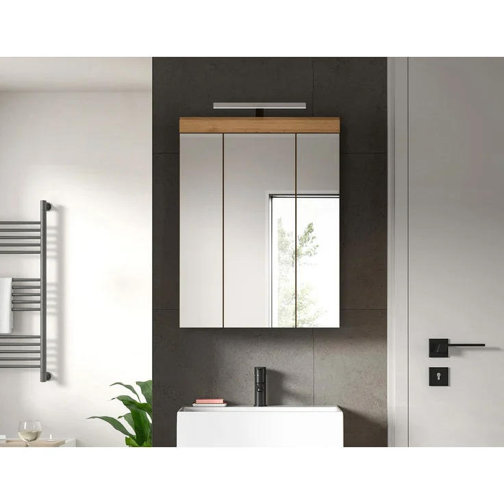 Xonox Scout Spiegelschrank inkl. Beleuchtung (B/H/T: 60x79x18 cm) in Salbei und Artisan Eiche Nachbildung – Bild 6