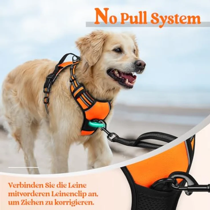 rabbitgoo Hundegeschirr Mittelgroße Hunde Anti Zug mit Griff, S, Orange | No Pull & Individuell Anpassbar, Atmungsaktiv Gepolstert, 2 D-Ringe, Schnellverschlüsse, Reflektierend für Gassi & Training – Bild 6
