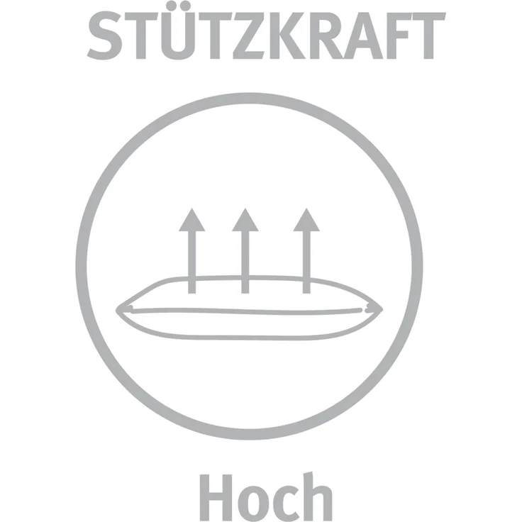 Paradies Kissen Softy Duett Plus Bio 80x80 cm – Bild 9
