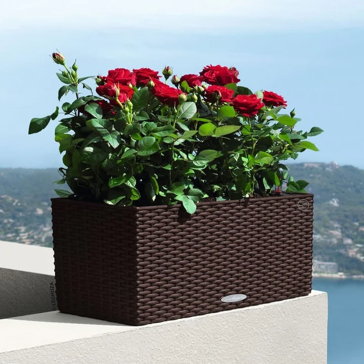 LECHUZA Pflanzgefäß BALCONERA Cottage 50 ALL-IN-ONE Mokka 443322 – Bild 4