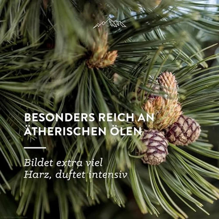 AllgäuQuelle Bio ZirbenKissen, 100% Zirbenspäne, 500g, natürliches Duftkissen, 45x45 cm, ohne künstliche Zusatzstoffe – Bild 4