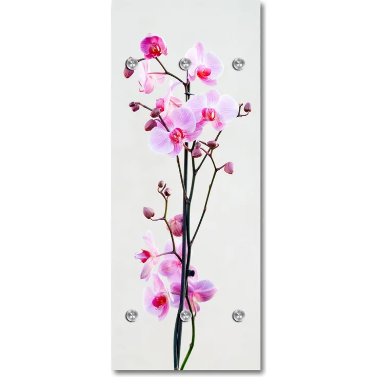 Queence Garderobe - "Urte" Druck auf hochwertigem Arcylglas inkl. Edelstahlhaken und Aufhängung, Format: 50x120cm