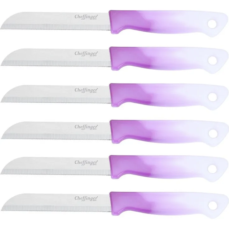 6 Stück Küchenmesser 18 cm mit ergonomischem Griff - vielseitig & pflegeleicht, Lila