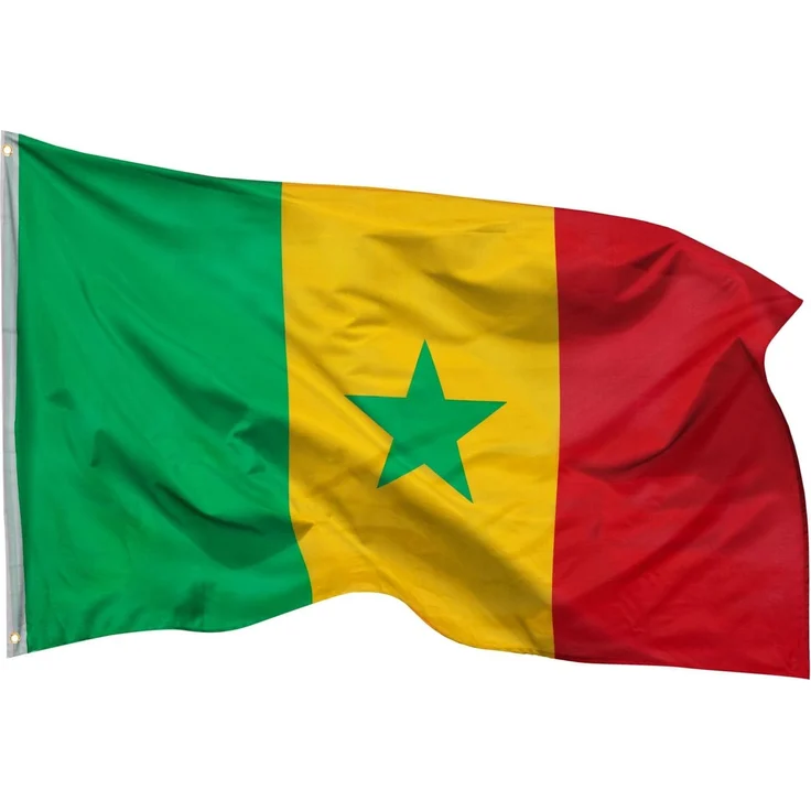 PHENO FLAGS Senegal Flagge 90x150 cm - wetterbeständige Fahne mit Messingösen, 100% Polyester, robuste Doppelnaht & in lebendigen Farben - ideal für Flaggen-Liebhaber