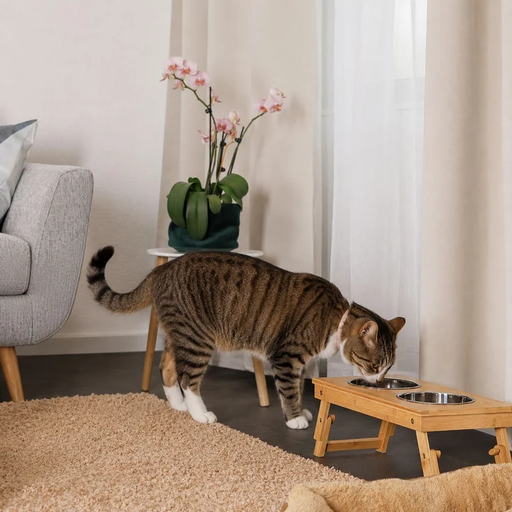 lionto Katzennapfständer aus Bambus, höhenverstellbare Futterstation mit 2 Edelstahlnäpfen, ergonomisch (2×0,7 L) – Bild 3