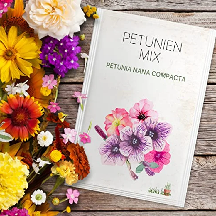 Blumen Samen Set - 10 bunte Blumensamen Sorten für den Garten oder Balkon, die Bienenweide und Wildblumenwiese - Blumenwiese Samen - bunte Wildblumensamen Mischung – Bild 7