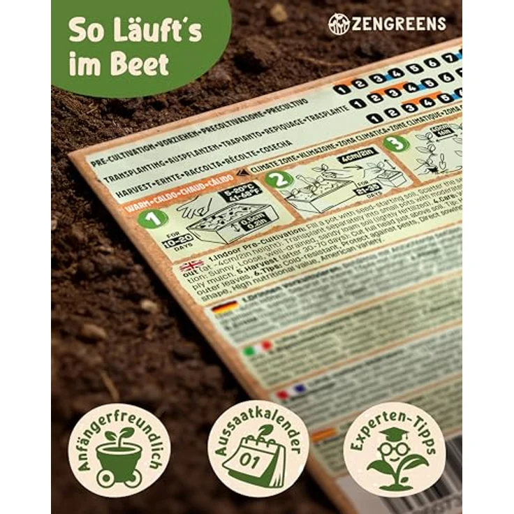 ZenGreens® - Bio Salatgemüsesamen im 10er Set - 10 Salat Gemüse Samen für den einfachen Anbau im Garten, Balkon oder Hochbeet - Pflanzensamen - Saatgut – Bild 9