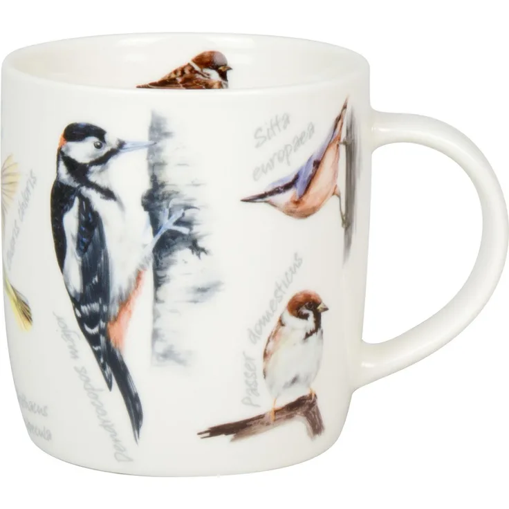 KÖNITZ 1172752976 Becher Natures Diversity - SINGVÖGEL 400 ml aus Bone China Porzellan / Artenvielfalt