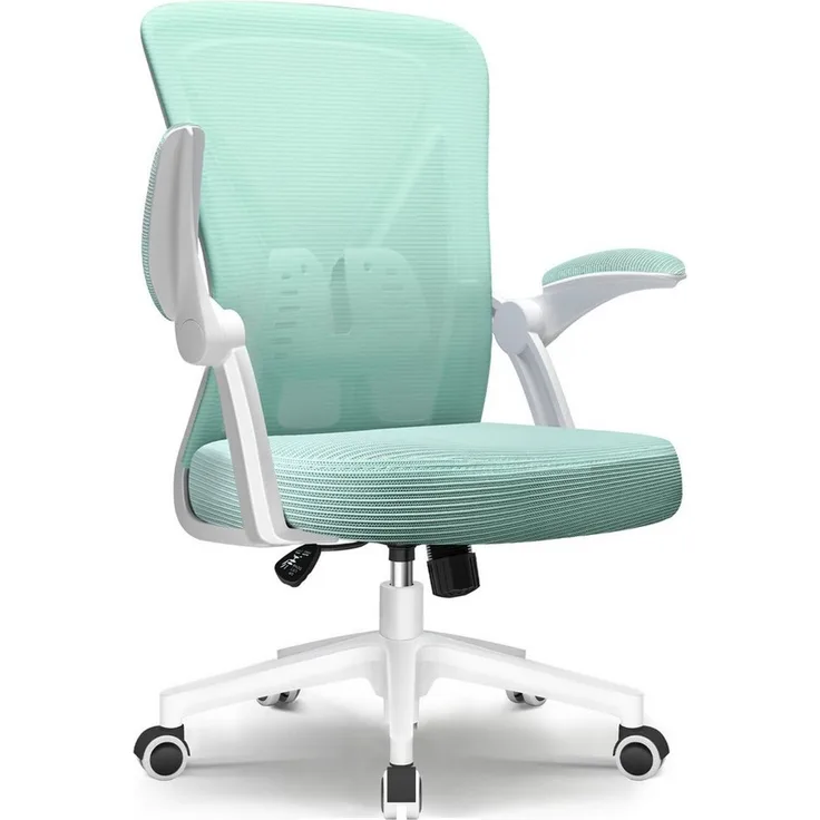 Adormii Bürostuhl Bürostuhl mit klappbaren Armlehnen,Ergonomischer Bürostuhl (Drehstuhl 360° mit Höhenverstellbarer Lendenwirbelstütze,Verstellbarer gepolsterten Armlehnen,Wippfunktion bis 125°,geräuscharmen Rollen,Höhenverstellbar), Atmungsaktiver Net...