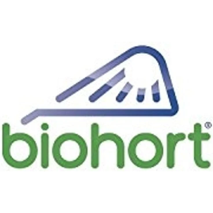 Biohort Freizeitbox, 160: 160 x 79 x 83 (b x t x h) cm, quarzgrau-metallic – Bild 7
