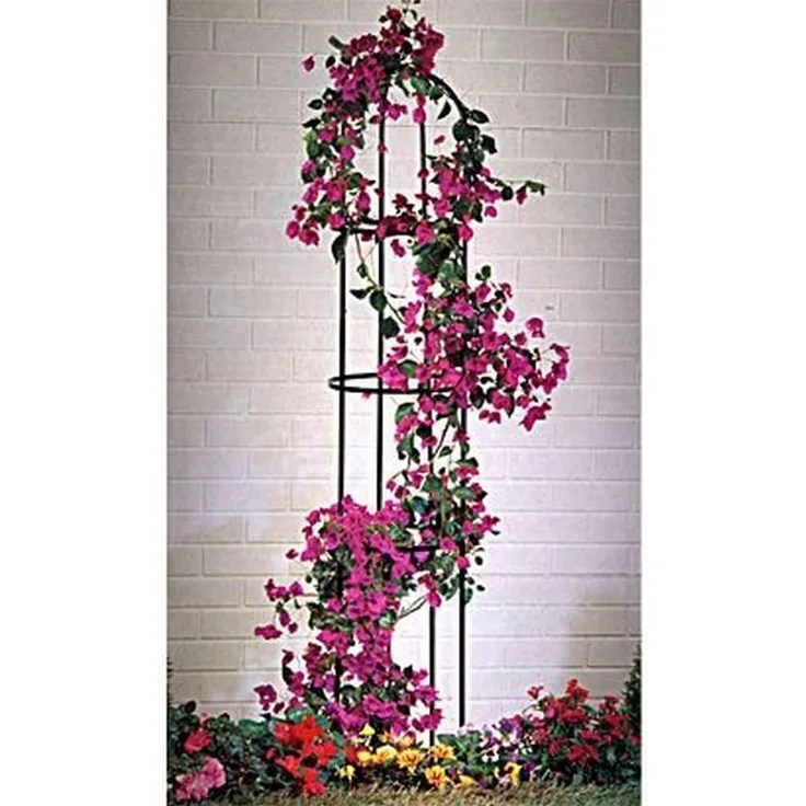 Rosensäule 185x40cm