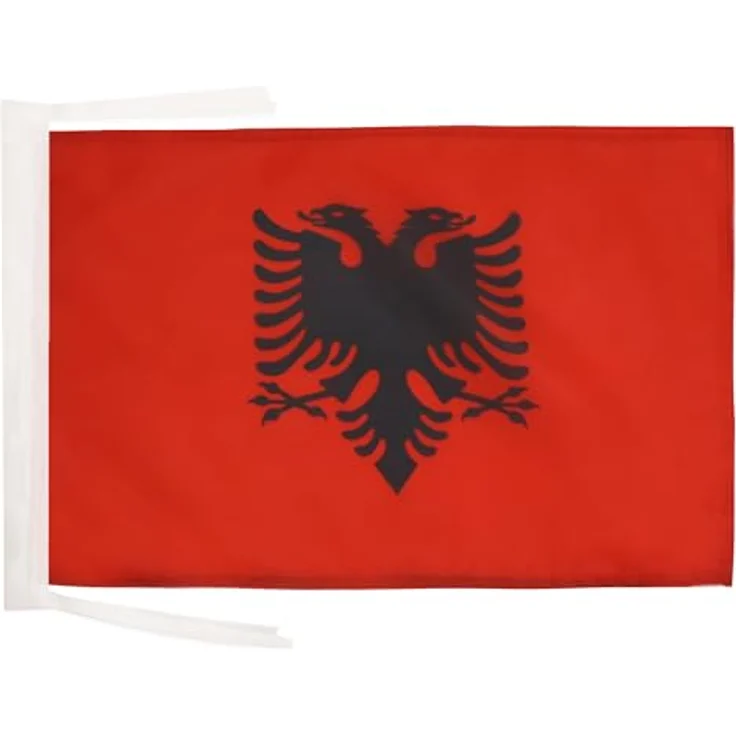 AZ FLAG - Flagge Kanton Solothurn - 90x90 cm - Kanton So Fahne 90 x 90 Cm Scheide Für Mast - Flaggen – Bild 1