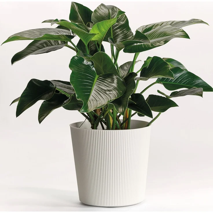 Bl.-Topf FYRE 40cm weiß – Bild 2
