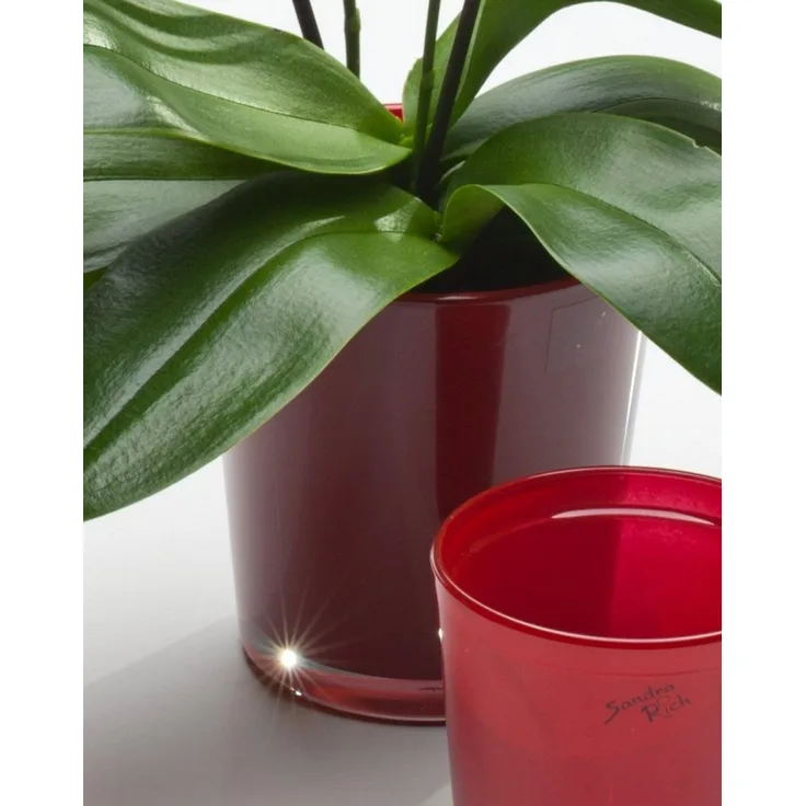 Sandra Rich Blumentopf Orchideentopf Orchid konisch von Sandra Rich