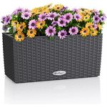 LECHUZA-Pflanzgefäß BALCONERA Cottage 40 Granit, Balkonkasten mit Bewässerungssystem, Wasserstandsanzeiger und Pflanzeinsatz, Flechtoptik, 40 x 19 x 19 cm, 15471