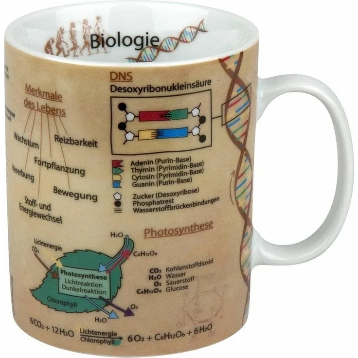 KÖNITZ 1113301624 Wissensbecher BIOLOGIE 490 ml aus Porzellan / Motivbecher