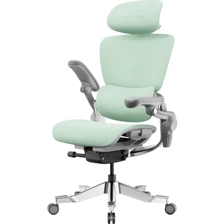 HINOMI H2 Pro Bürostuhl ergonomisch, verstellbare Lordosenstütze, Kopfstütze & 6D-Armlehnen, 150kg belastbar, atmungsaktives Mesh, Drehstuhl für Home & Office (Grün)
