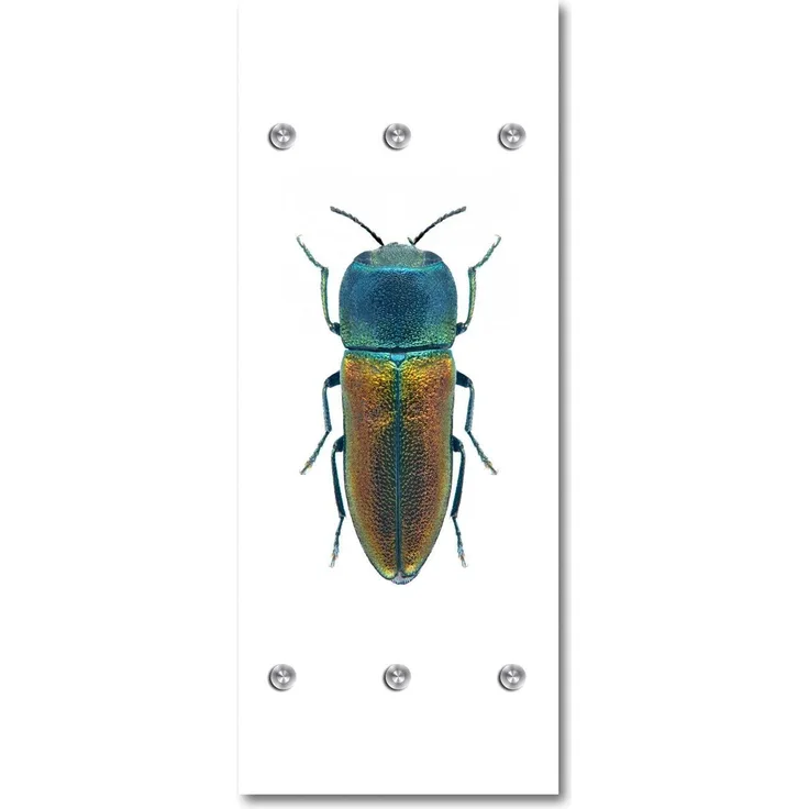 Queence Garderobe - "Buggy" Druck auf hochwertigem Arcylglas inkl. Edelstahlhaken und Aufhängung, Format: 50x120cm