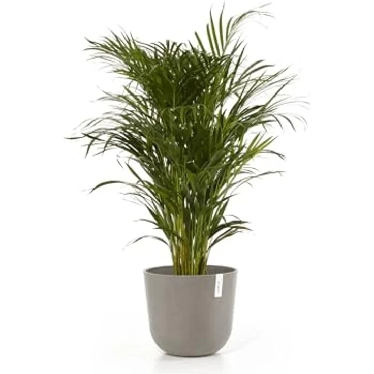 ECOPOTS Blumentopf Oslo 35 Taupe, für innen und außen: frostsicher, bruchsicher und lichtbeständig – Bild 2