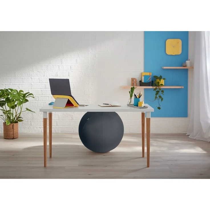 Leitz Sitzball Ergo Cosy 65 cm grau – Bild 3
