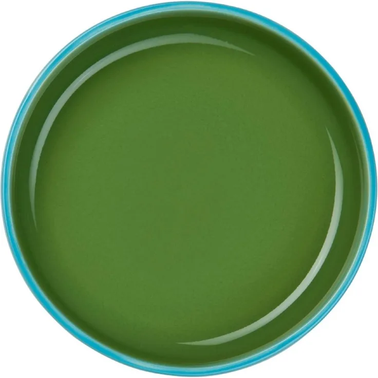 ASA SELECTION Schale tapero viva Schale verde 14cm, Steinzeug, (Schüsseln & Schalen)