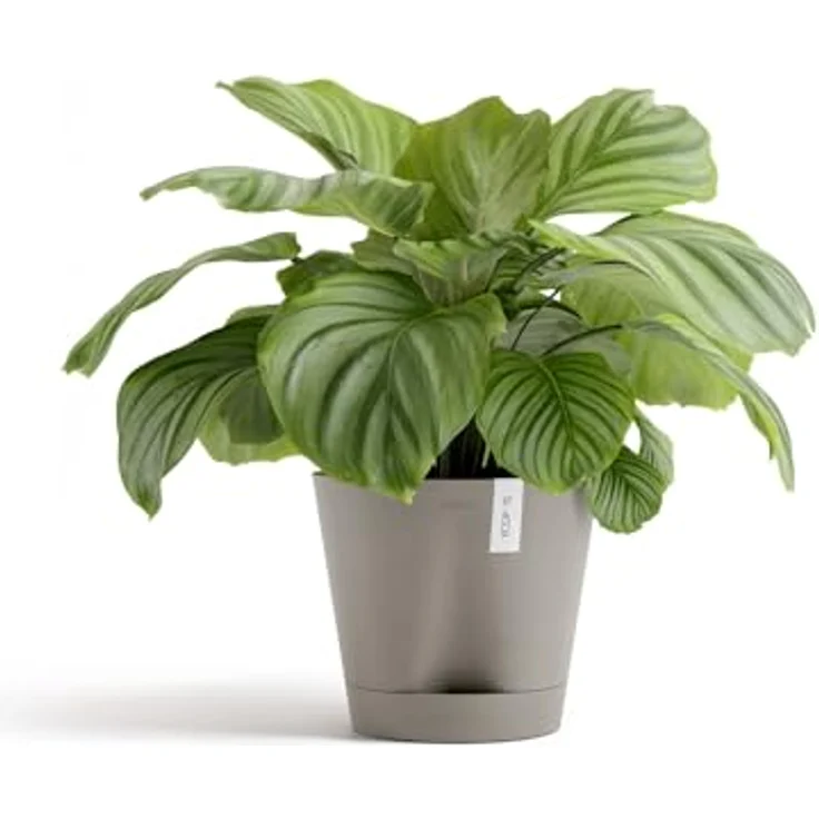 ECOPOTS Blumentopf Venice 2 30 Taupe, für den Innenbereich – Bild 4
