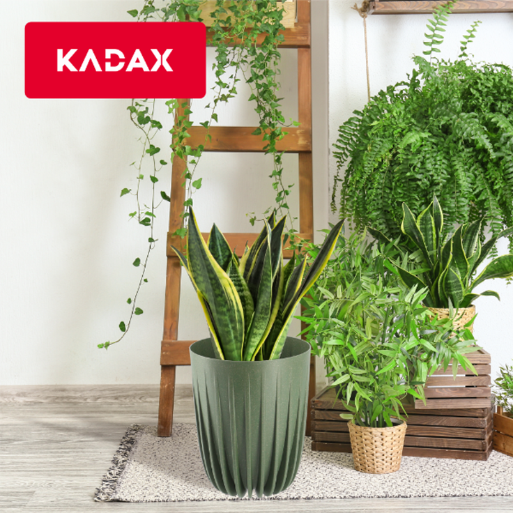 KADAX Öko-Blumentopfabdeckung + grüner Einsatz 19x22,5 cm – Bild 8