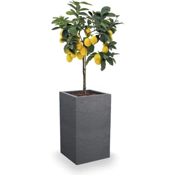 ONDIS24 Blumentopf Pflanzkübel Vulkan, 36L Pflanzvolumen, rechteckig, Blumenkasten, mit Wasserspeicher in Schieferoptik, Balkon Terrasse, Blumenkübel – Bild 4