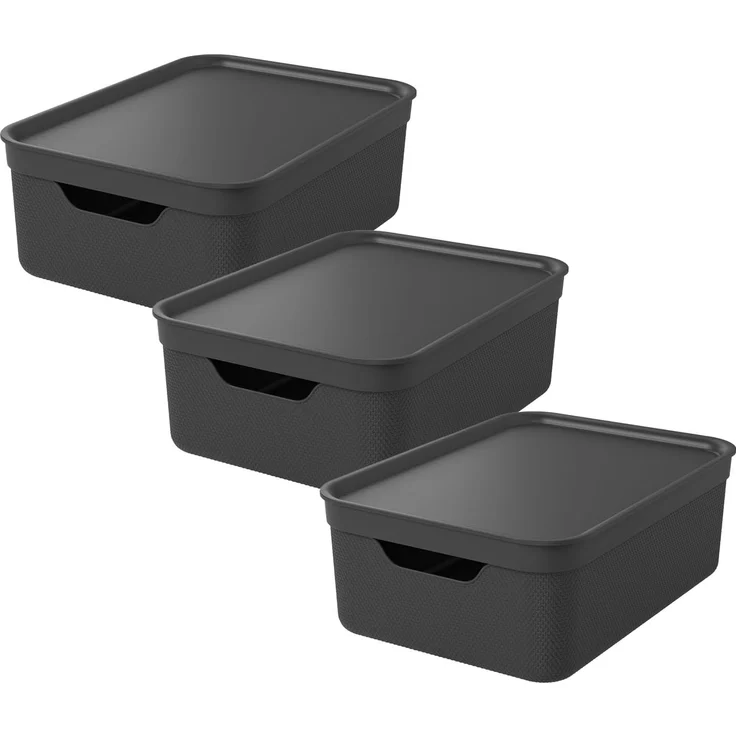 Rotho Jive 3er-Set Aufbewahrungsbox 10l mit Deckel, Kunststoff, anthrazit