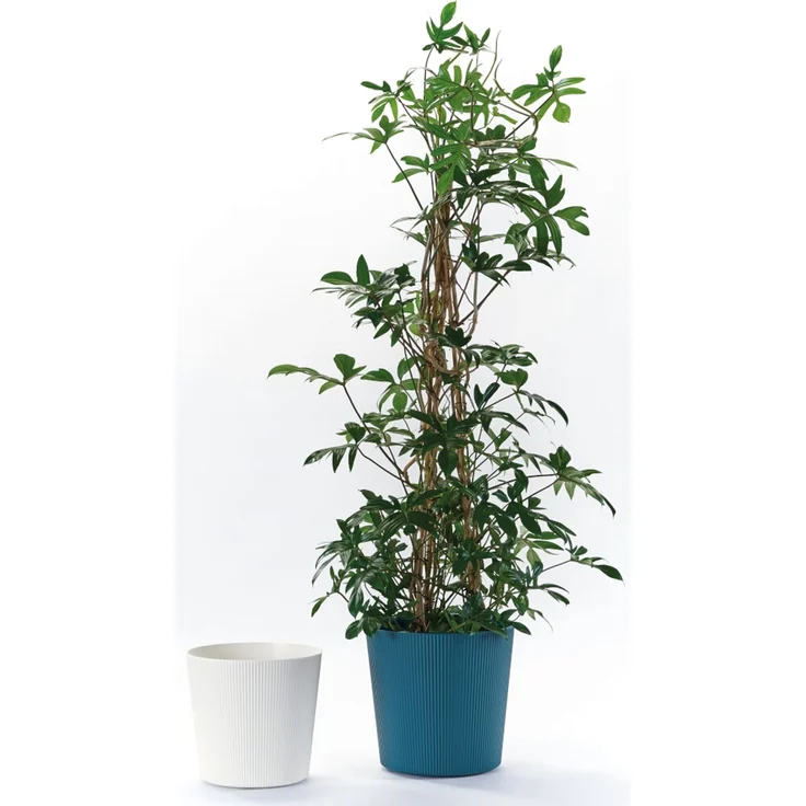 Bl.-Topf FYRE 35cm weiß – Bild 4