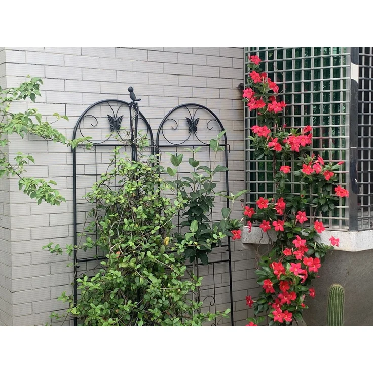 Homerecommend Metall Garten Gitter 2er Set 180x50 cm, Pflanzengitter für Kletterpflanzen, verzinkter Stahl, Schwarz – Bild 4
