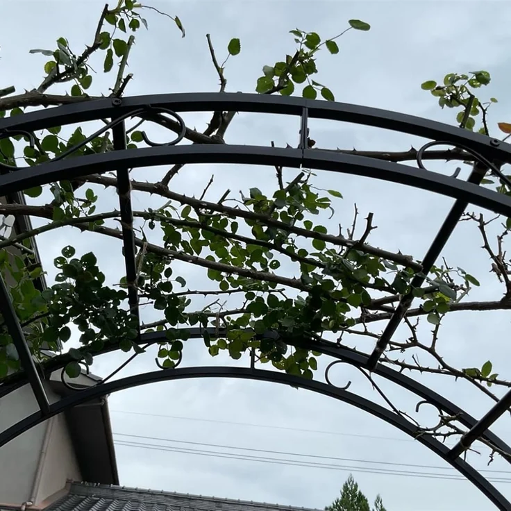 UNHO Gartenbogen aus Metall Schwarz 134 x 55 x 215 cm – Bild 5