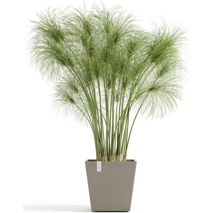 ECOPOTS Blumentopf Rotterdam 25 + Wassersystem Taupe, für innen und außen: frostsicher, bruchsicher und lichtbeständig