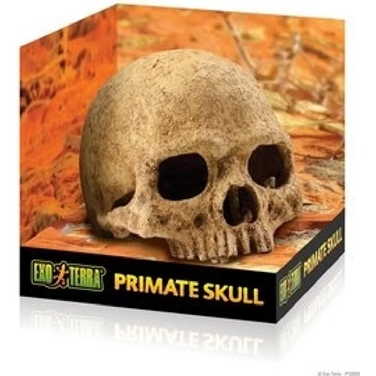 Exo Terra Terrariendeko Versteck Primate Skull – Bild 6