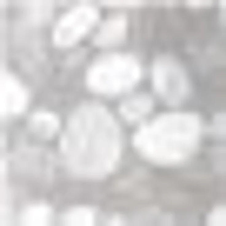 Kleine Wolke Duschvorhang Cristallo Breite 180 cm, inklusive Duschvorhangringe – Bild 2